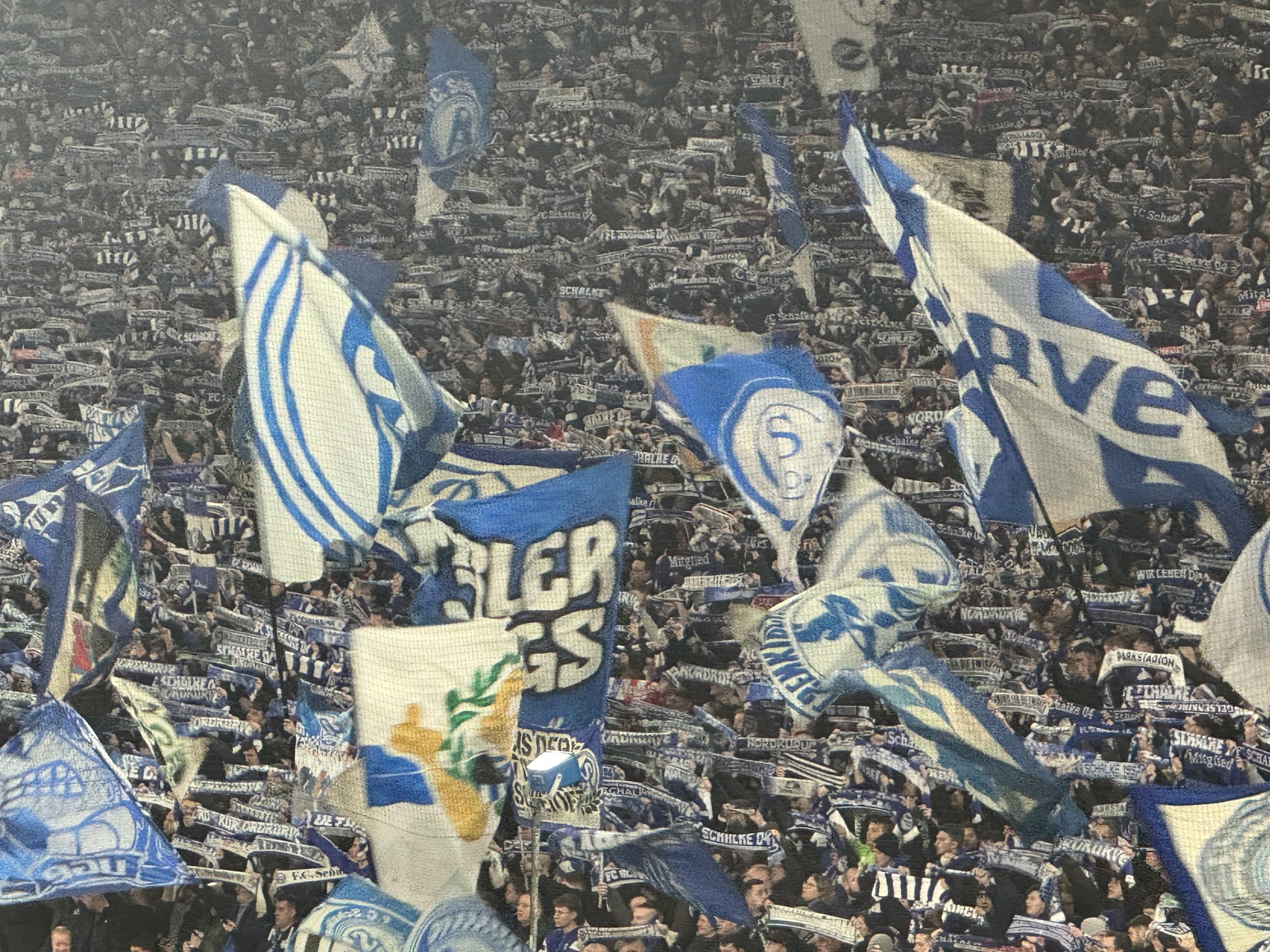 FC Schalke 04 – Eintracht Braunschweig 1-0 (16)