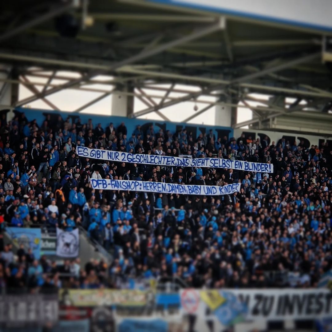 Chemnitzer FC – FC Energie Cottbus 1-4 (7)