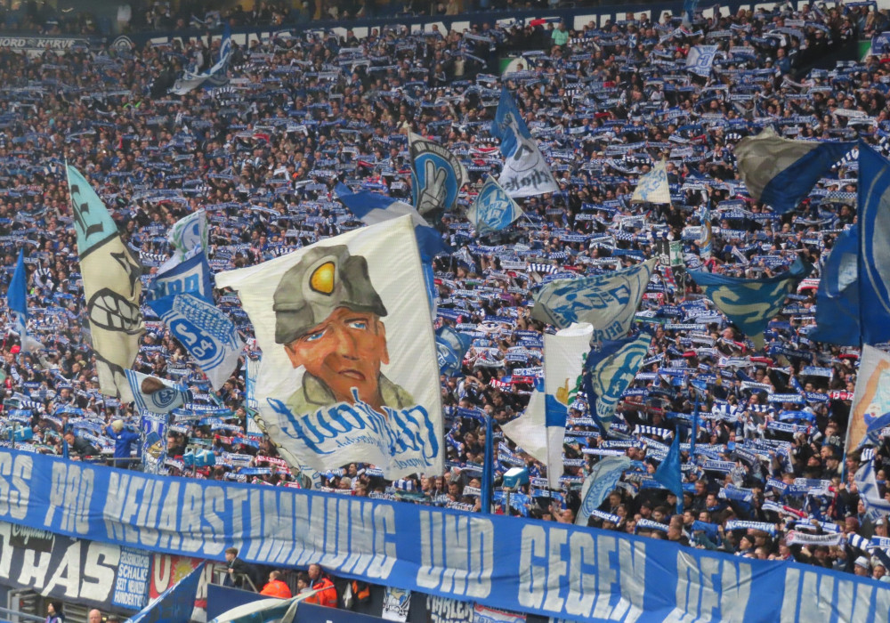 FC Schalke 04 – SV Wehen 1-0 (8)