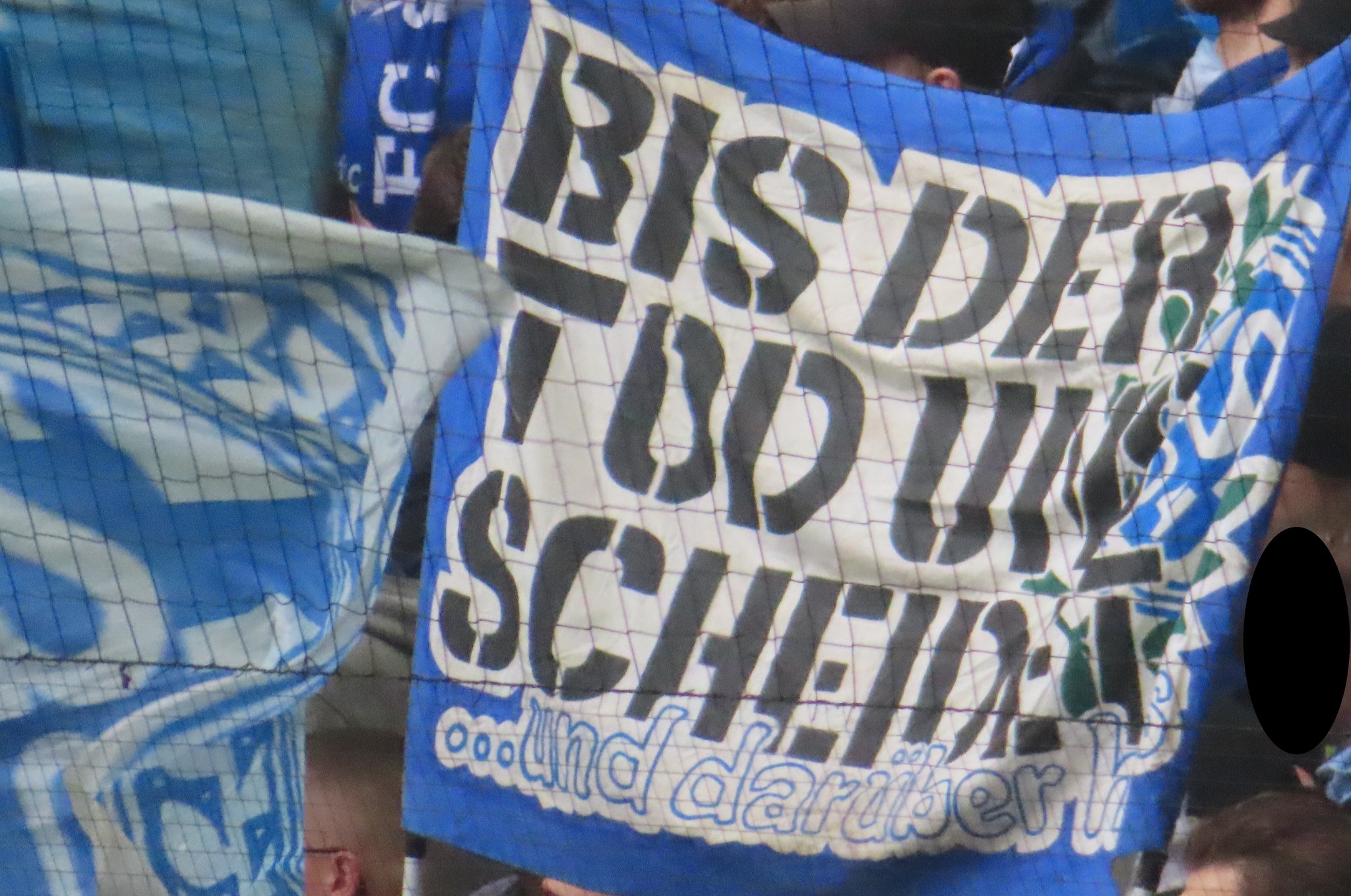 FC Schalke 04 – SV Wehen 1-0 (9)