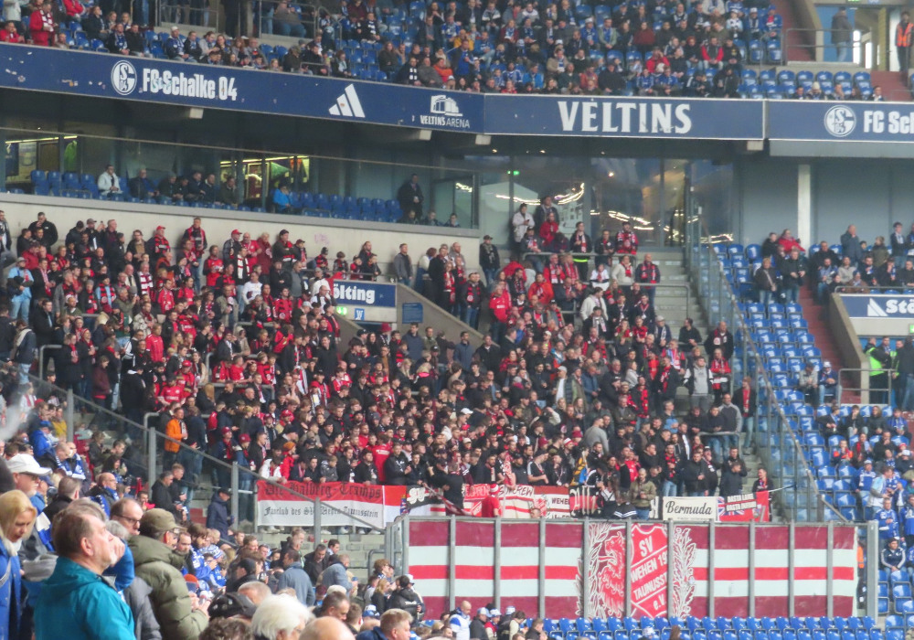 FC Schalke 04 – SV Wehen 1-0