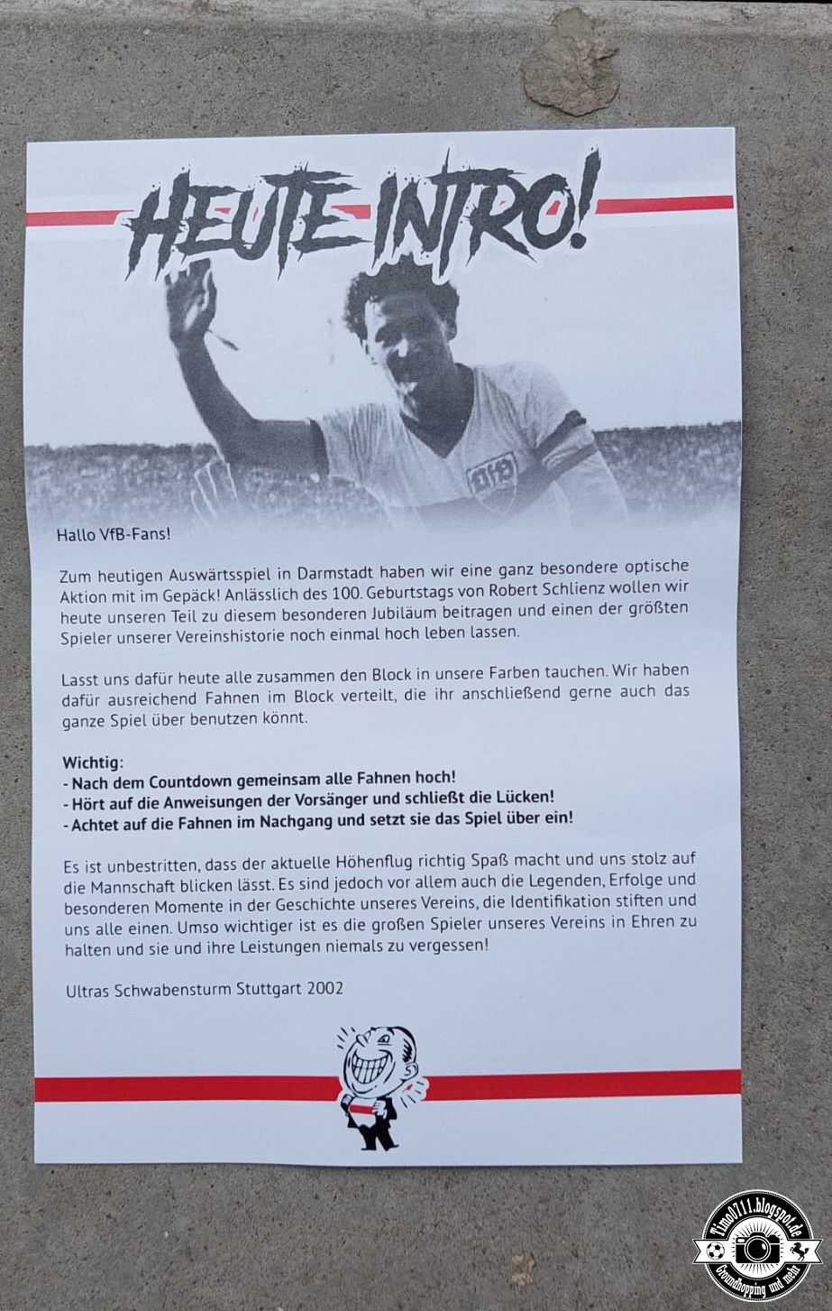 SV Darmstadt 98 – VfB Stuttgart 1-2 (27)
