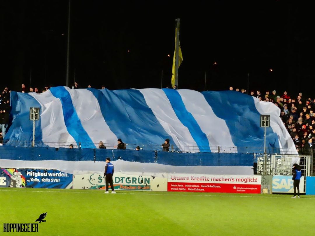 SV Babelsberg 03 – FSV Zwickau 3-1 (1)