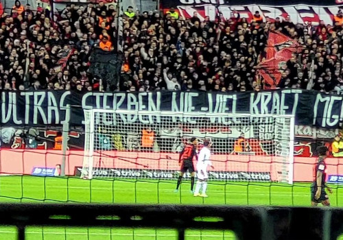 Bayer 04 Leverkusen – 1. FSV Mainz 05 2-1