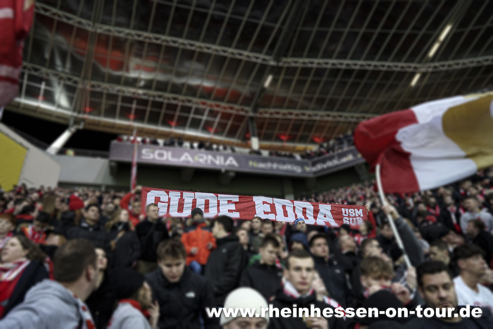 Bayer 04 Leverkusen – 1. FSV Mainz 05 2-1 (8)
