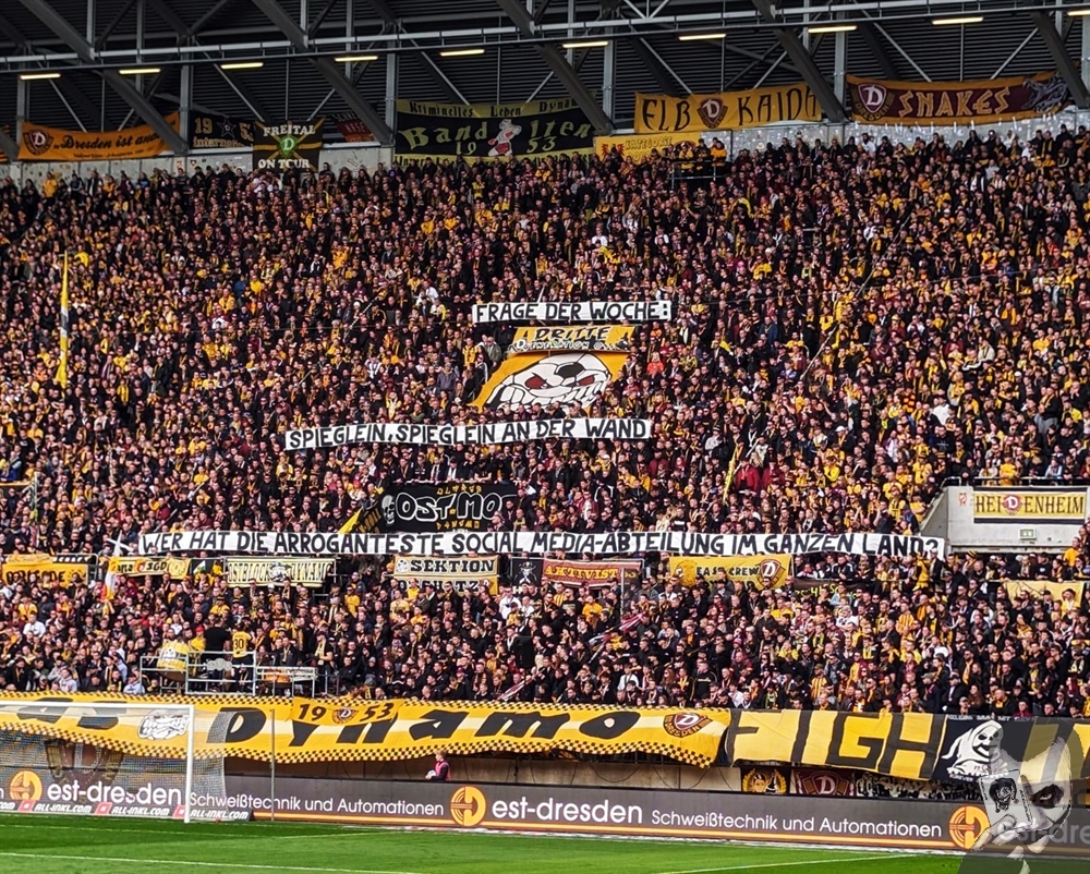 Dynamo Dresden – Rot-Weiss Essen 2-2 (18)