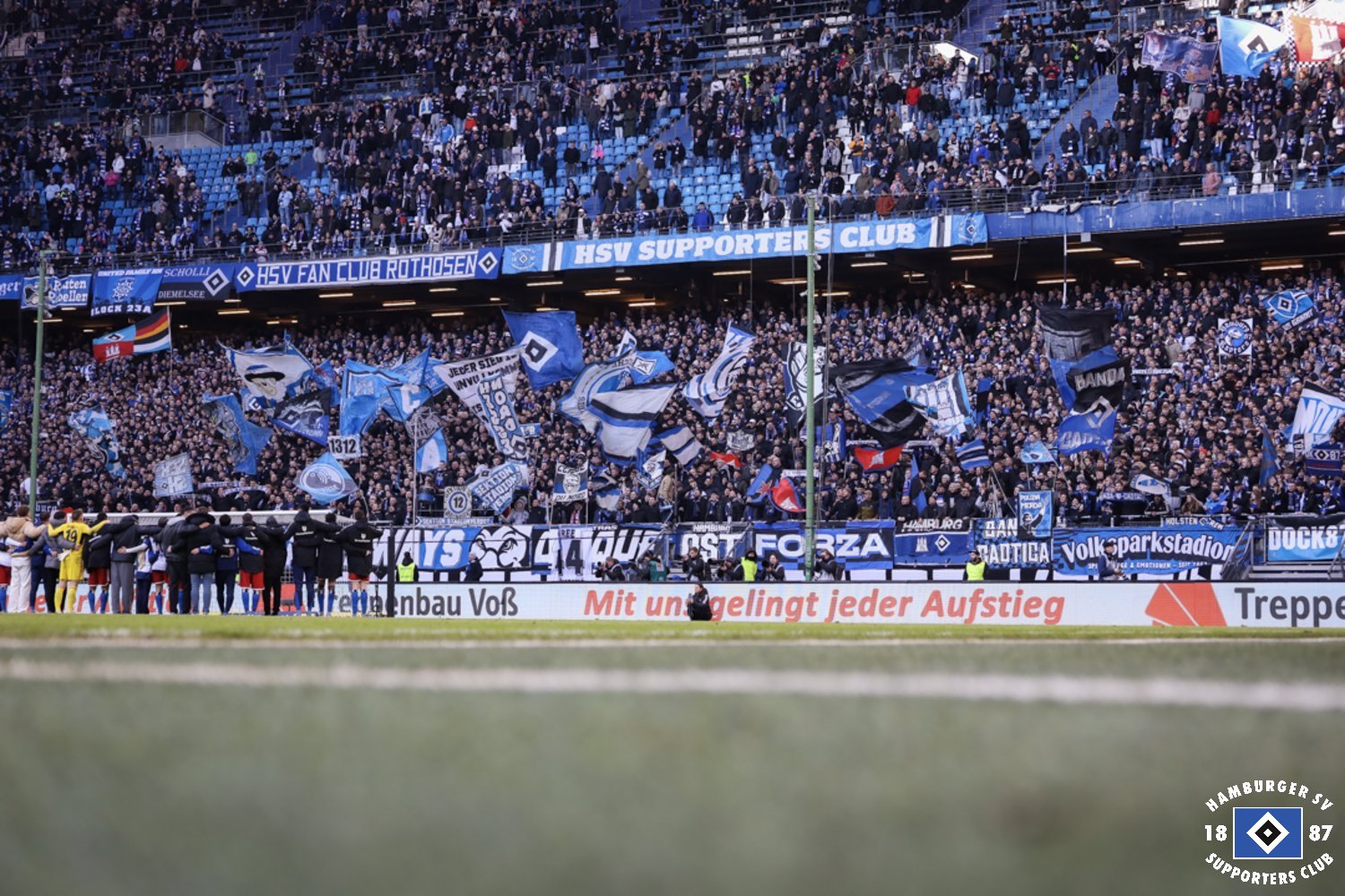 Hamburger SV – SV Elversberg 1-0 (8)