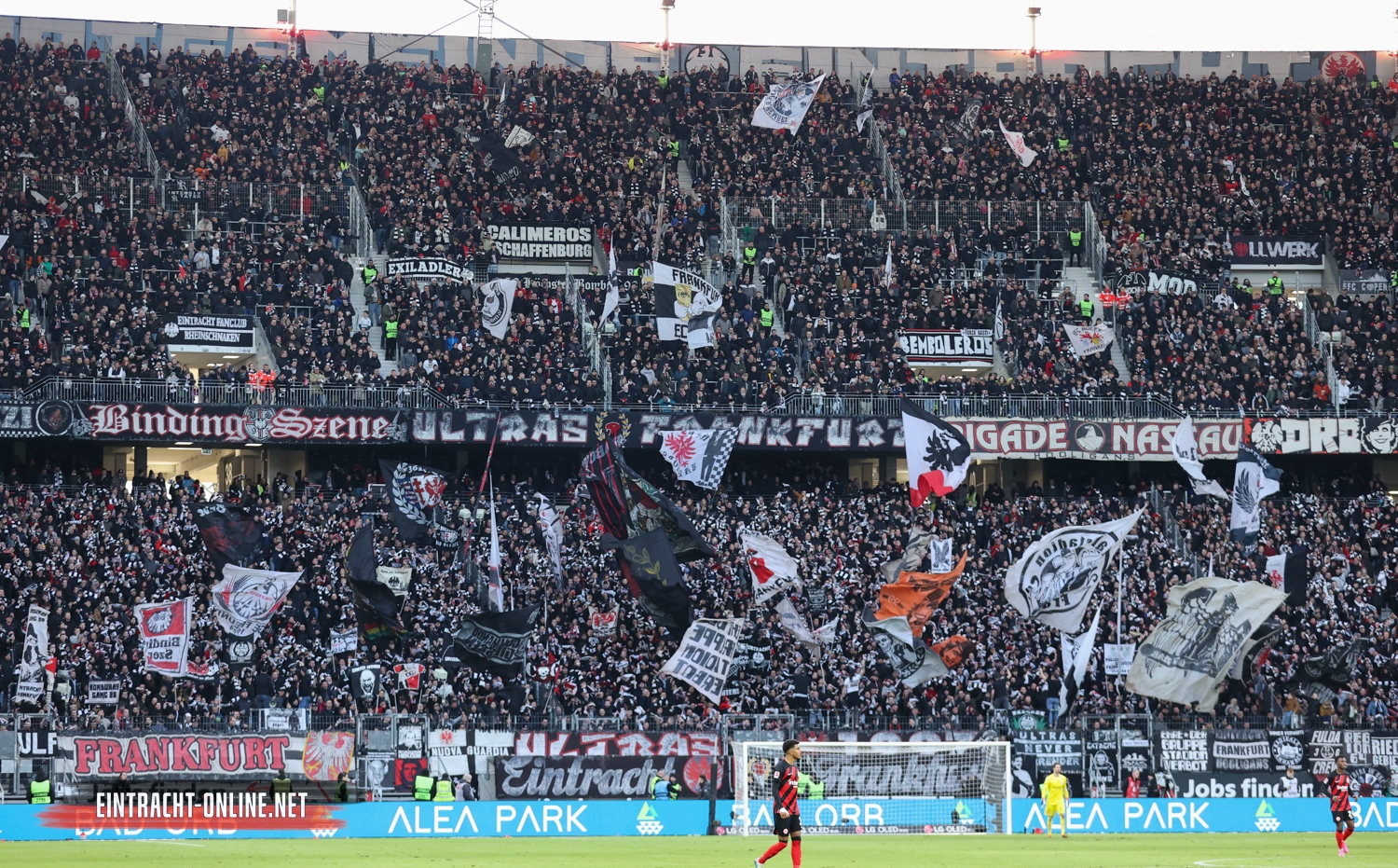 Eintracht Frankfurt – VfL Wolfsburg 2-2 (5)