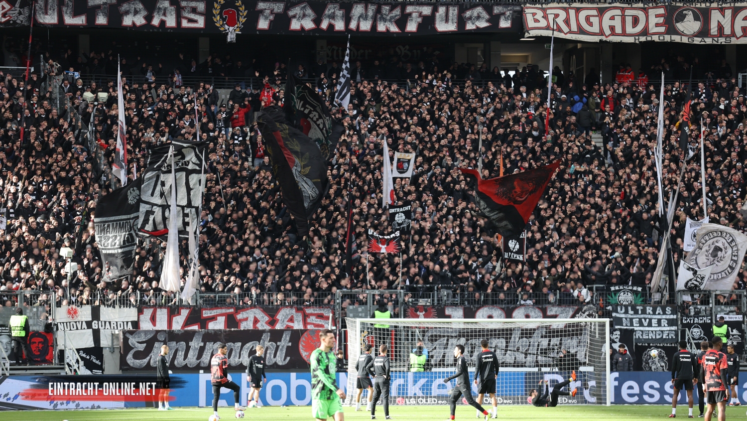 Eintracht Frankfurt – VfL Wolfsburg 2-2 (8)