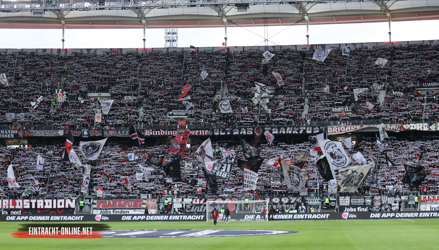 Eintracht Frankfurt – VfL Wolfsburg 2-2 (9)