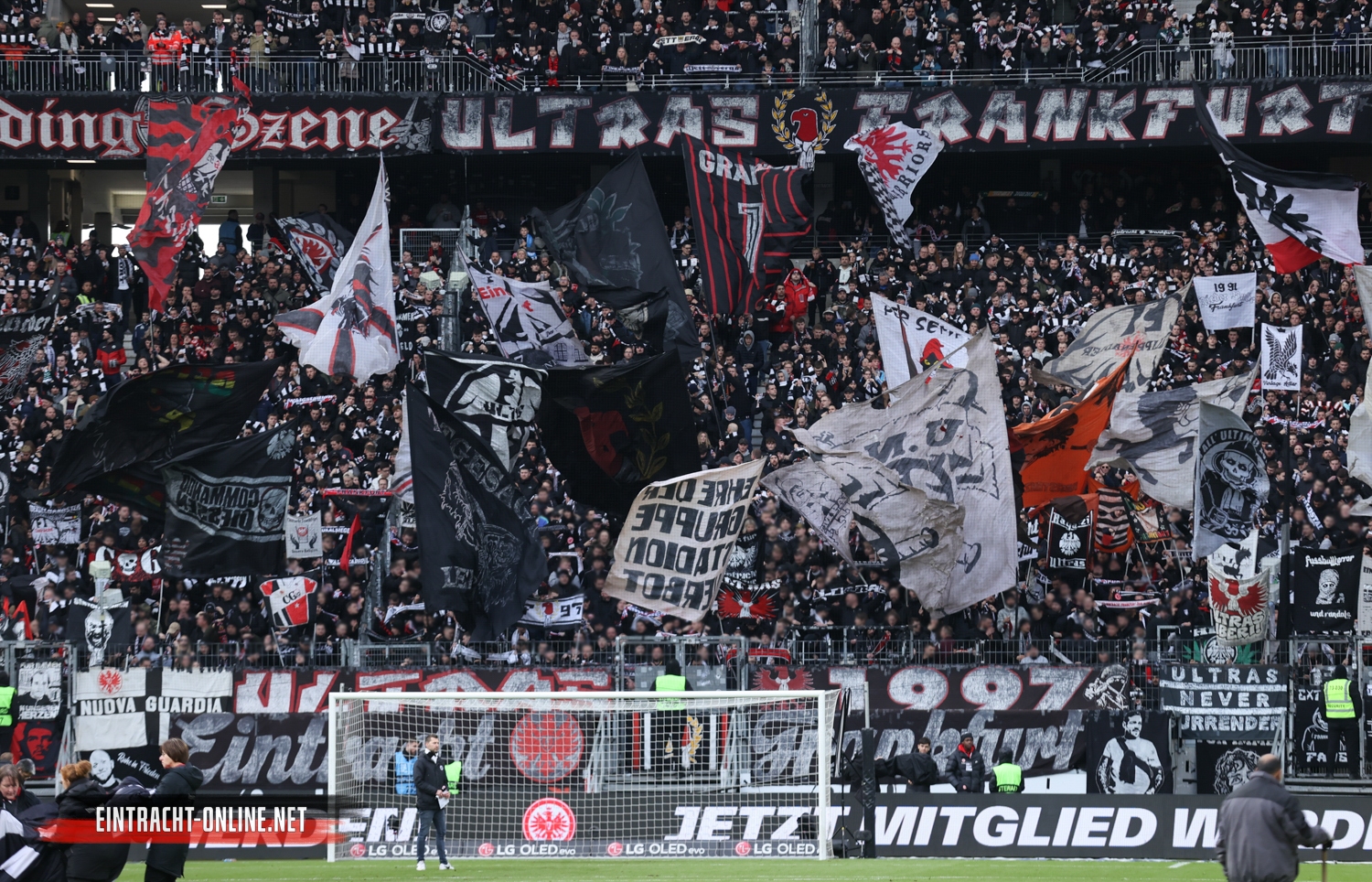 Eintracht Frankfurt – VfL Wolfsburg 2-2 (11)