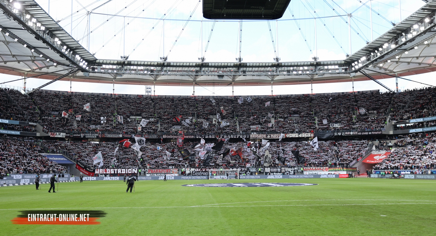 Eintracht Frankfurt – VfL Wolfsburg 2-2 (12)