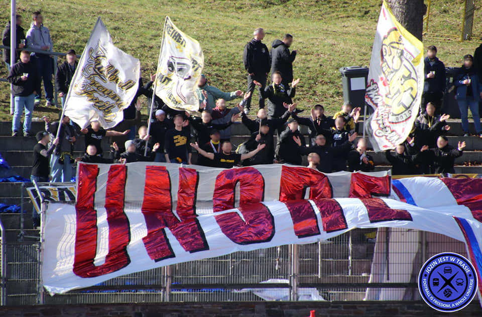 VFC Plauen – VfB Auerbach 2-1 (14)