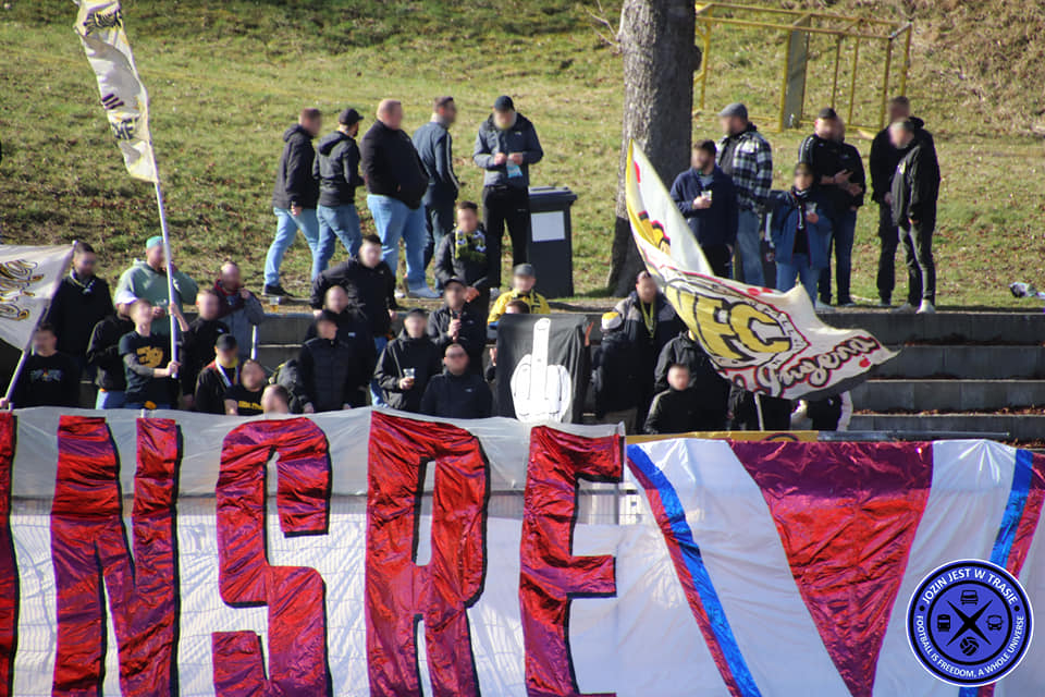 VFC Plauen – VfB Auerbach 2-1 (15)
