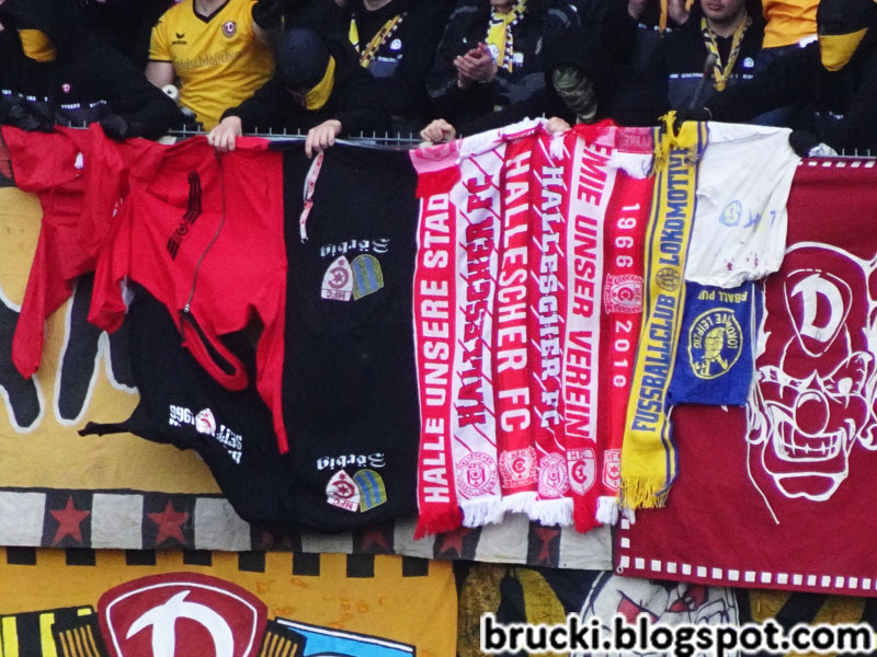 Hallescher FC – Dynamo Dresden 1-0 (8)