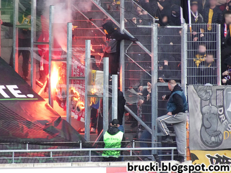 Hallescher FC – Dynamo Dresden 1-0 (9)