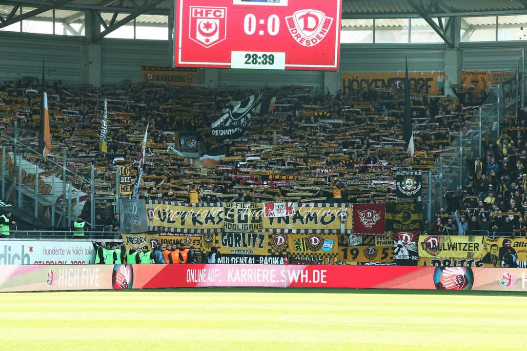 Hallescher FC – Dynamo Dresden 1-0 (21)