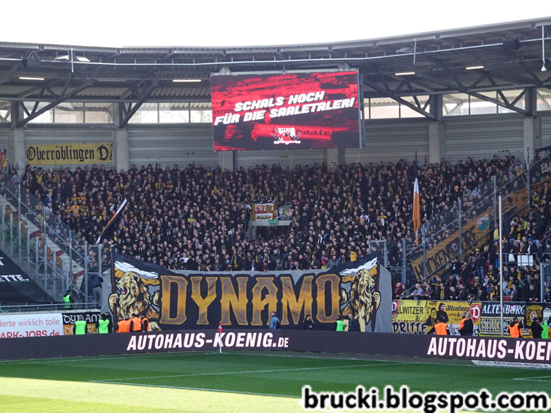 Hallescher FC – Dynamo Dresden 1-0 (25)