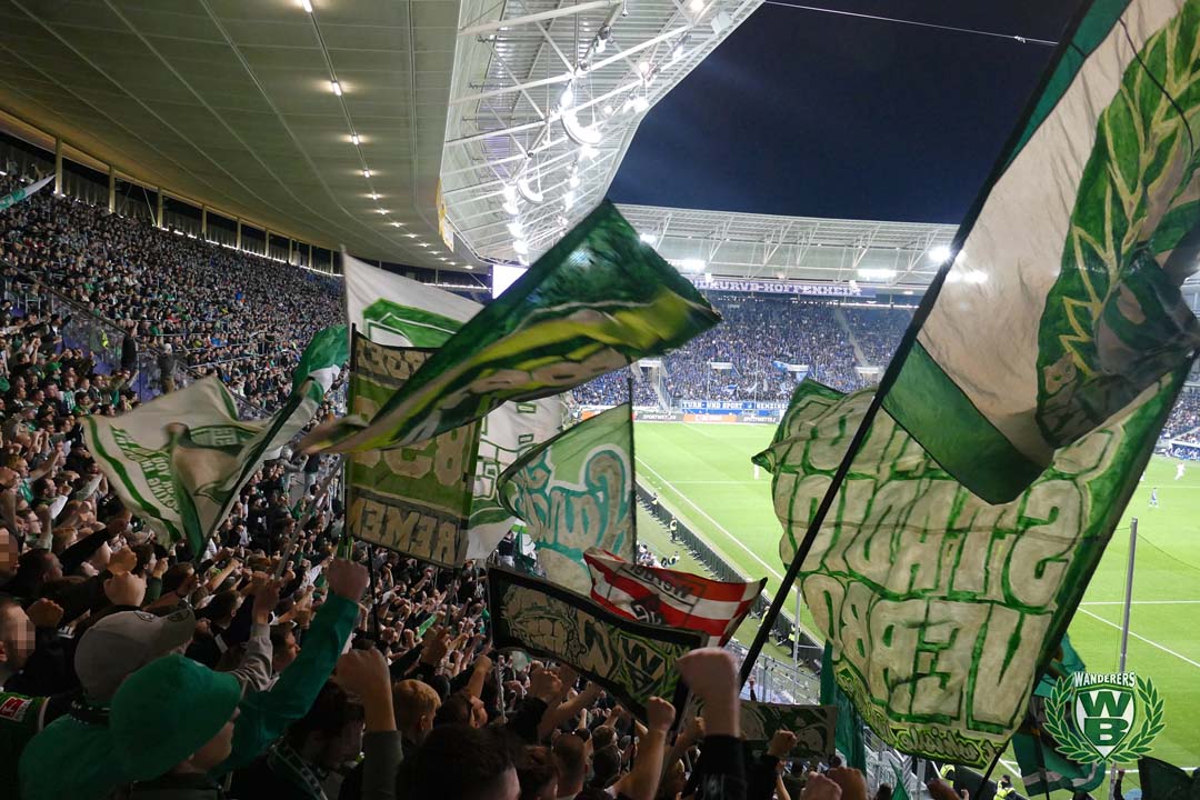 TSG Hoffenheim – Werder Bremen 2-1 (4)