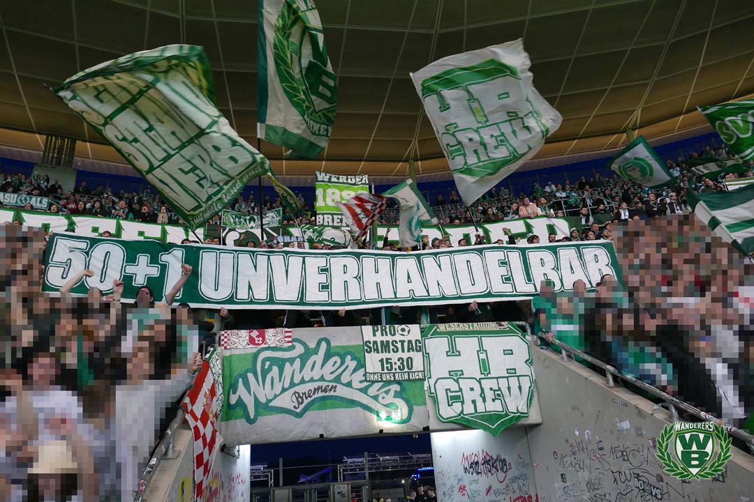 TSG Hoffenheim – Werder Bremen 2-1 (13)