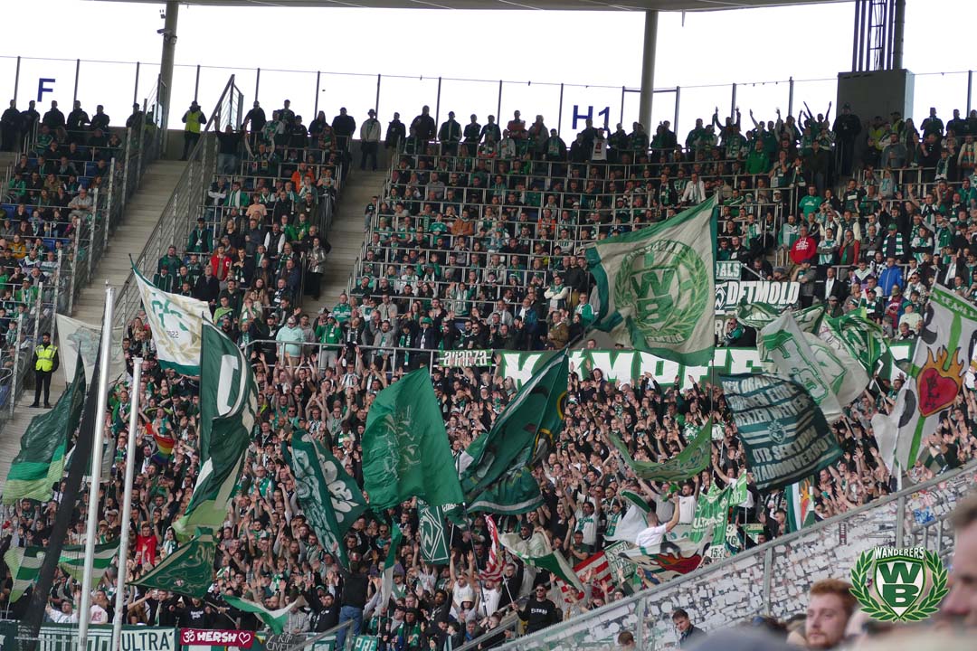TSG Hoffenheim – Werder Bremen 2-1 (14)