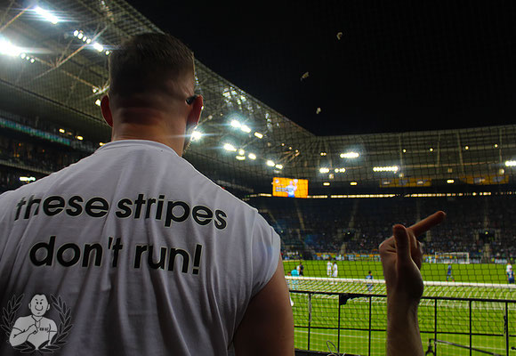 TSG Hoffenheim – Werder Bremen 2-1 (2)