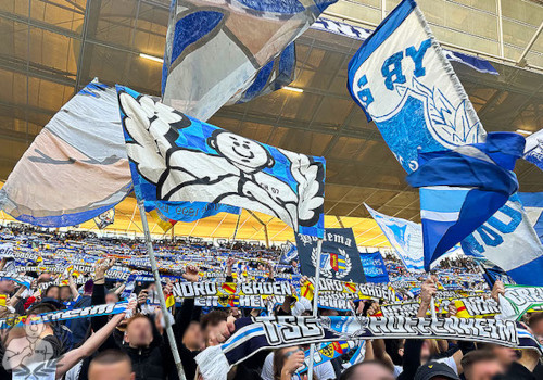 TSG Hoffenheim – Werder Bremen 2-1 (5)