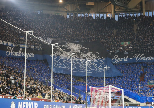 Fortuna Düsseldorf – Hamburger SV 2-0 (15)