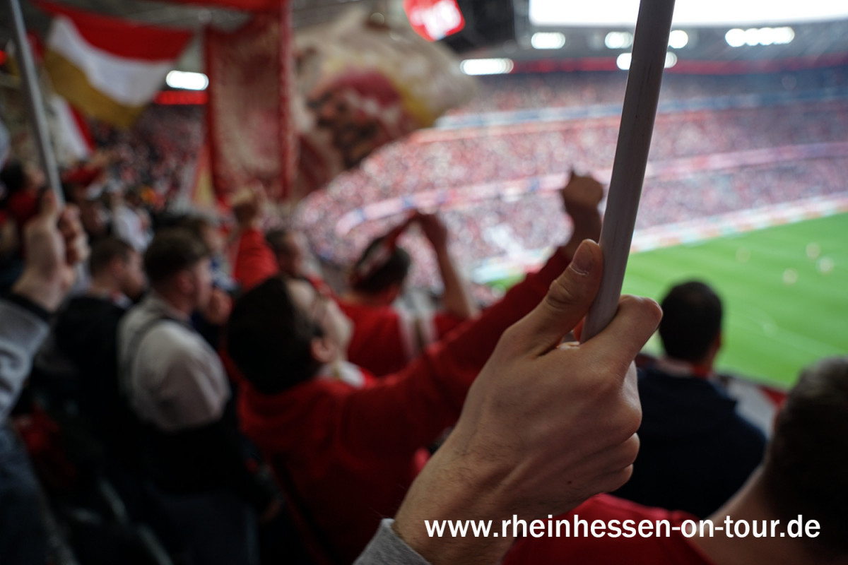 FC Bayern München – 1. FSV Mainz 05 8-1 (6)