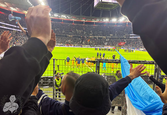 Eintracht Frankfurt – TSG Hoffenheim 3-1 (7)
