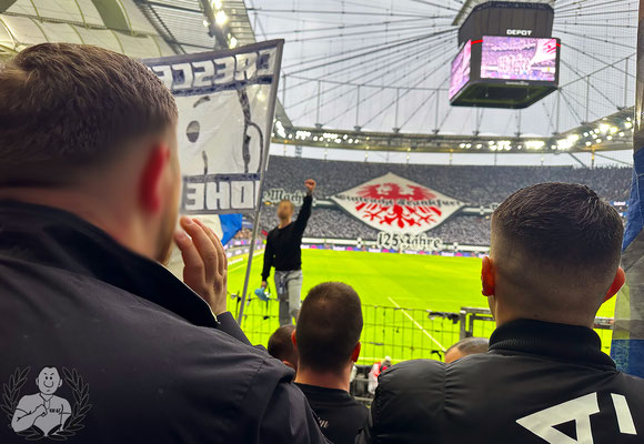 Eintracht Frankfurt – TSG Hoffenheim 3-1 (9)