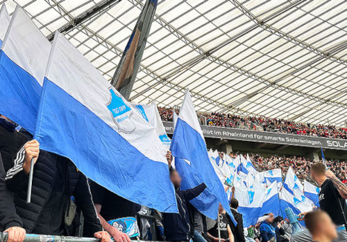Bayer 04 Leverkusen – TSG Hoffenheim 2-1 (3)