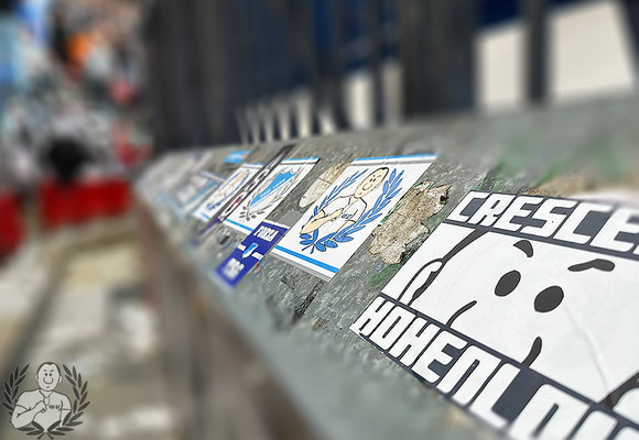 Bayer 04 Leverkusen – TSG Hoffenheim 2-1 (5)