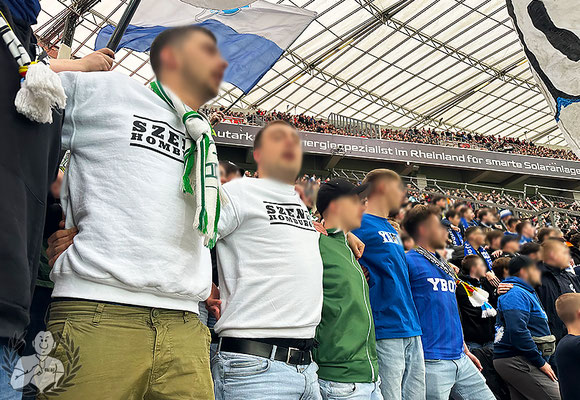 Bayer 04 Leverkusen – TSG Hoffenheim 2-1 (6)