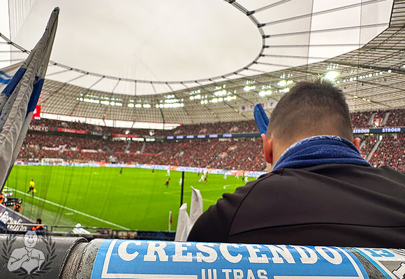 Bayer 04 Leverkusen – TSG Hoffenheim 2-1 (8)