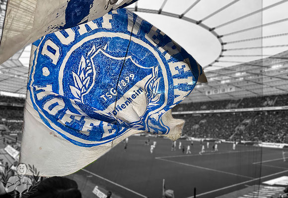Bayer 04 Leverkusen – TSG Hoffenheim 2-1 (9)