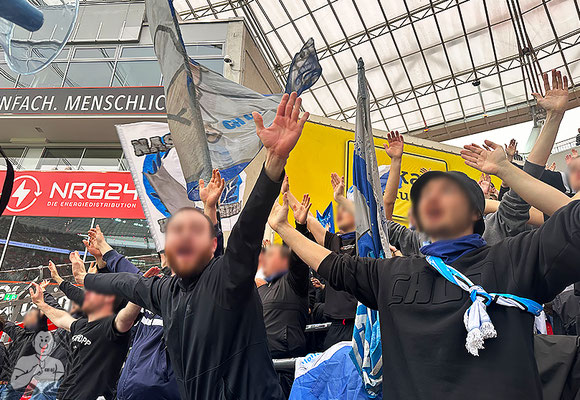 Bayer 04 Leverkusen – TSG Hoffenheim 2-1 (11)
