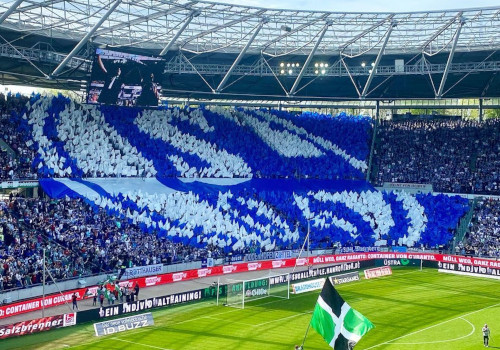 Hannover 96 – FC Schalke 04 1-1 (4)