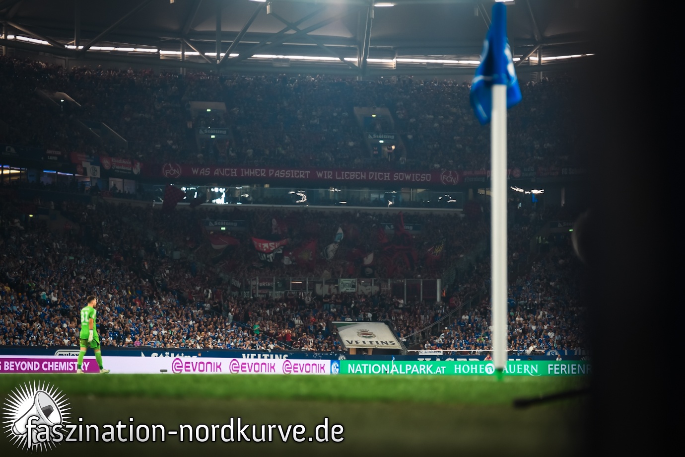 FC Schalke 04 – 1. FC Nürnberg 2-0 (14)