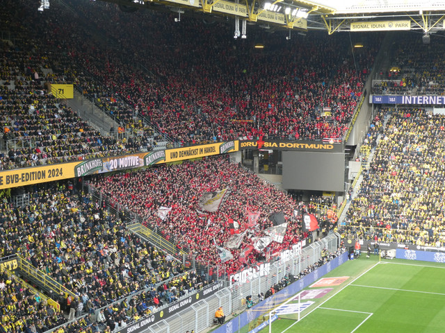 Borussia Dortmund – Bayer 04 Leverkusen 1-1 (19)
