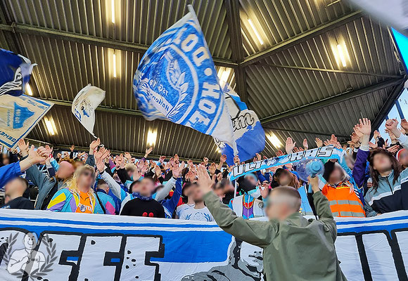 VfL Bochum – TSG Hoffenheim 3-2 (7)