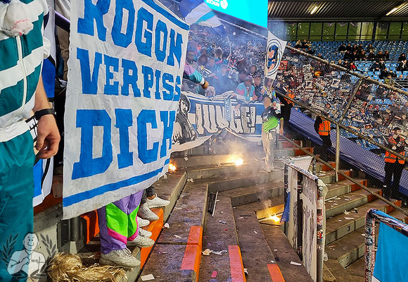 VfL Bochum – TSG Hoffenheim 3-2 (18)