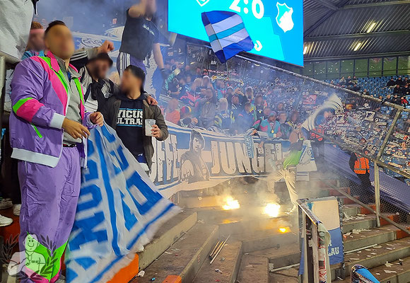 VfL Bochum – TSG Hoffenheim 3-2 (20)