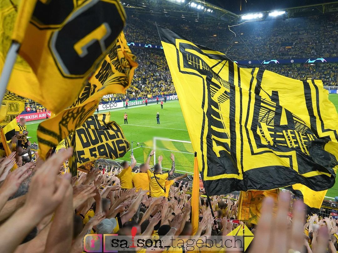 Borussia Dortmund – Paris SG 1-0 (8)