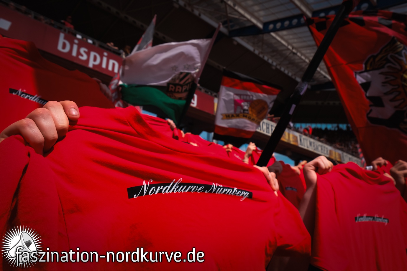 1. FC Nürnberg – SV Elversberg 3-0 (29)