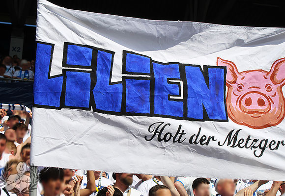 SV Darmstadt 98 – TSG Hoffenheim 0-6 (5)