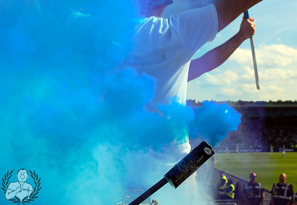 SV Darmstadt 98 – TSG Hoffenheim 0-6 (9)