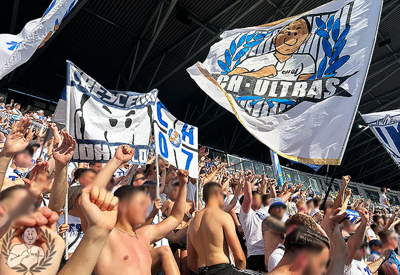 SV Darmstadt 98 – TSG Hoffenheim 0-6 (13)