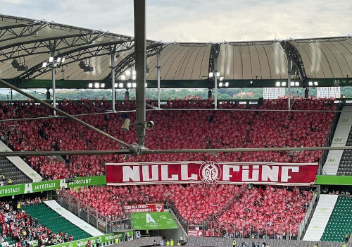 VfL Wolfsburg – 1. FSV Mainz 05 1-3 (10)