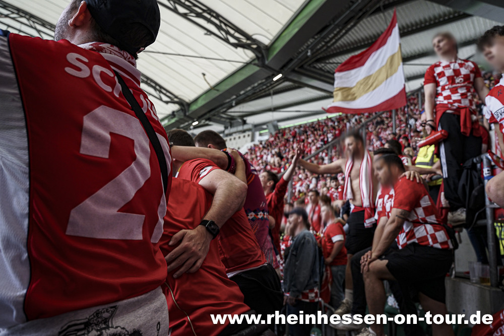 VfL Wolfsburg – 1. FSV Mainz 05 1-3 (29)